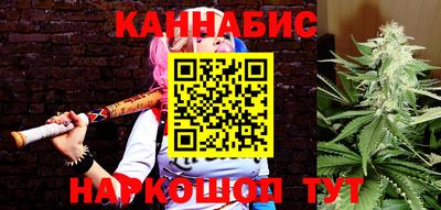индика Тара