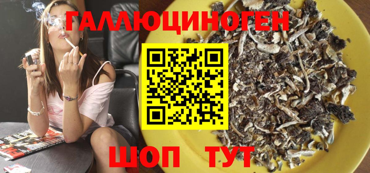 Среднеуральск  Псилоцибиновые грибы Cubensis  Вход с VPN 